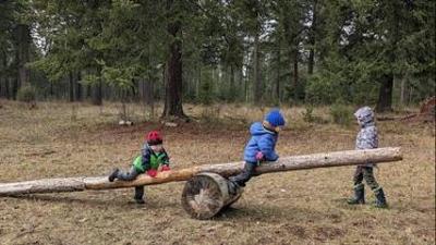 three kids on a giant seesaw made from a pine log