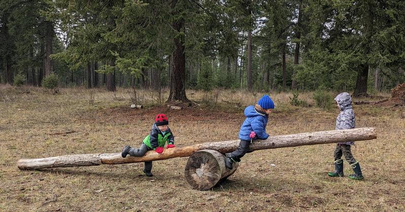 three kids on a giant seesaw made from a pine log