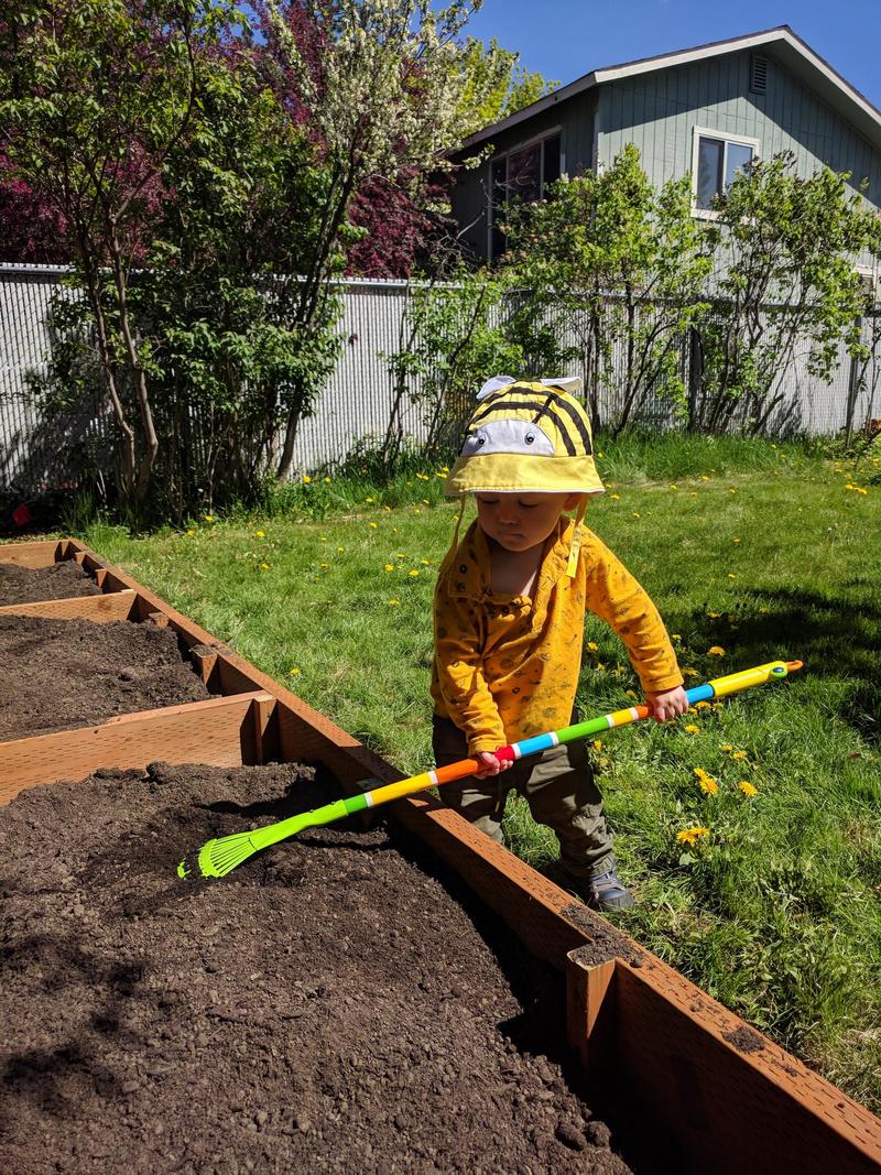 Our two-year-old in a bee hat spreading dirt in the garden bed with a small rake