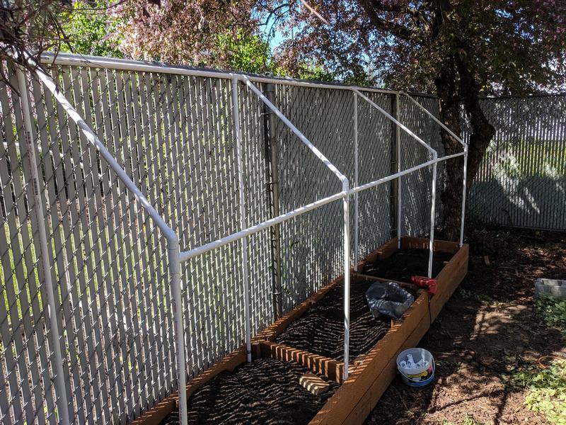 garden bed by a fence with pvc posts in it to hold up netting