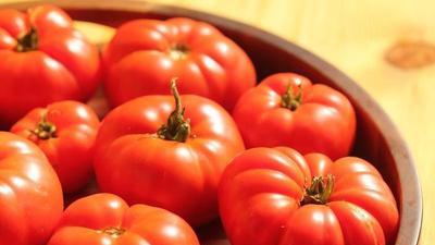 big beautiful red tomatoes in a wooden bowl