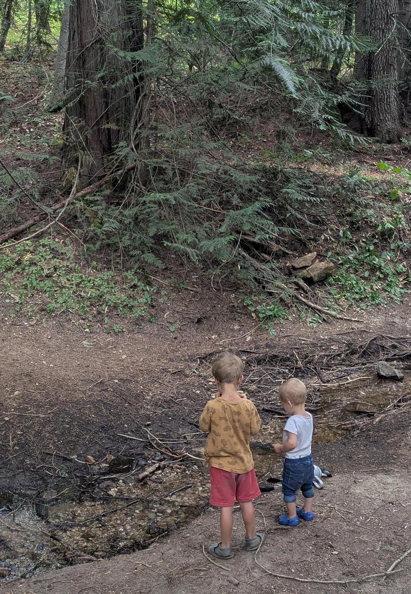 two boys, one big and one small, standing by a creek