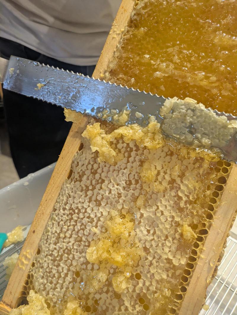 fresh honey and comb spread on a warm slice of sourdough bread