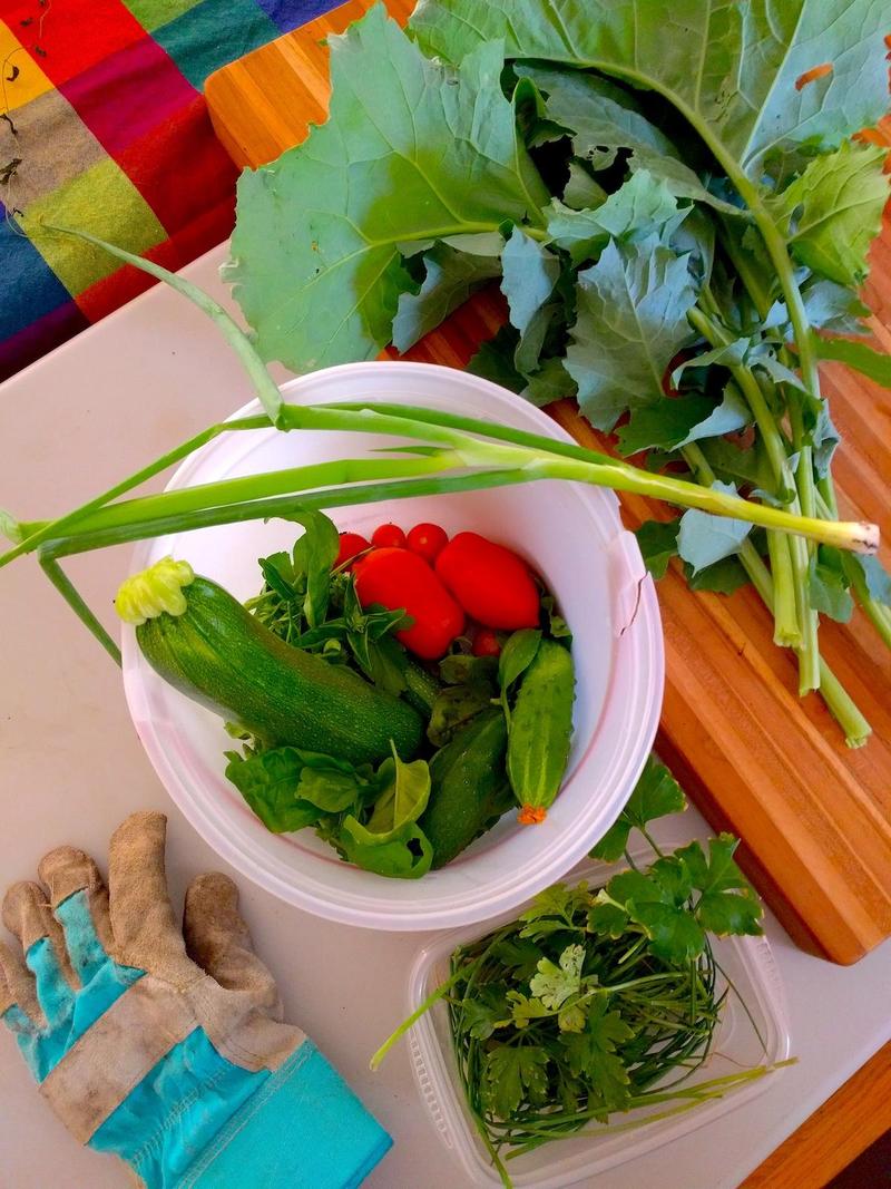 a gardening glove beside a bucket of zucchini, tomatoes, and cucumbers, with a bowl of fresh herbs and a pile of kale beside that