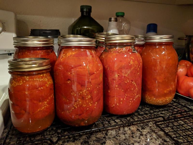 big mason jars of roasted tomatoes lined up on a counter