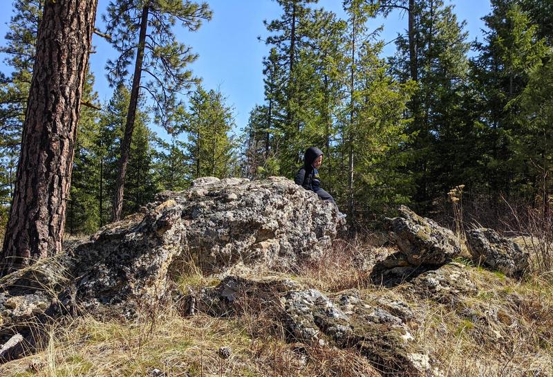 four-year-old sitting up on a rock among grass and pine trees