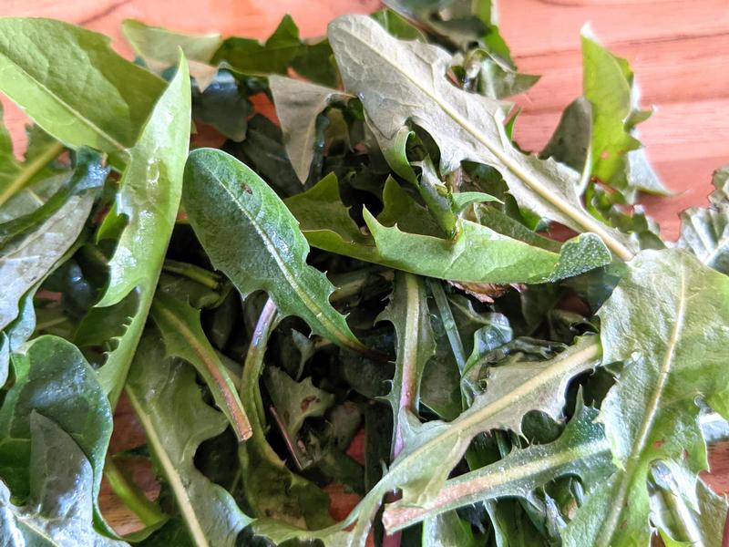 pile of dandelion leaves on a wood cutting board