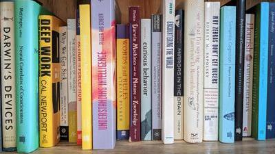 a shelf of colorful cognitive science books