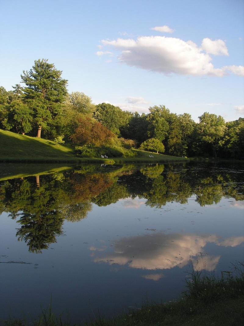 Sunset Lake at Vassar College: green hills, green trees, one cloud in a blue sky reflected in the water