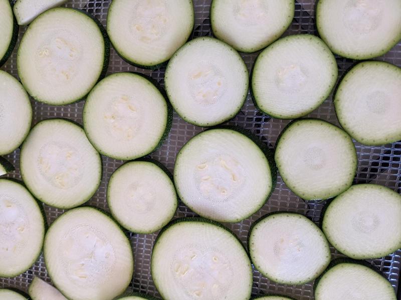 slices of zucchini lined up on a dehydrator tray