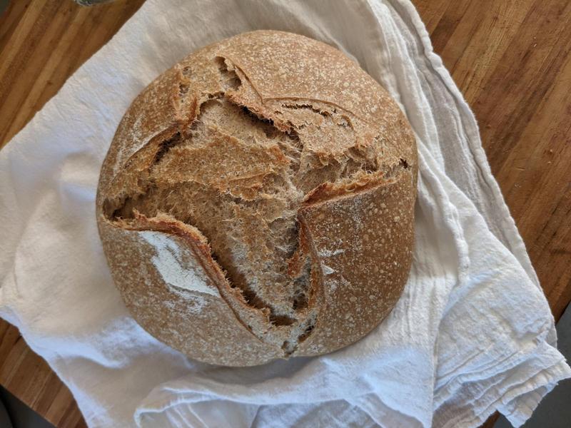 a loaf of warm crusty sourdough resting on a flour sack towel