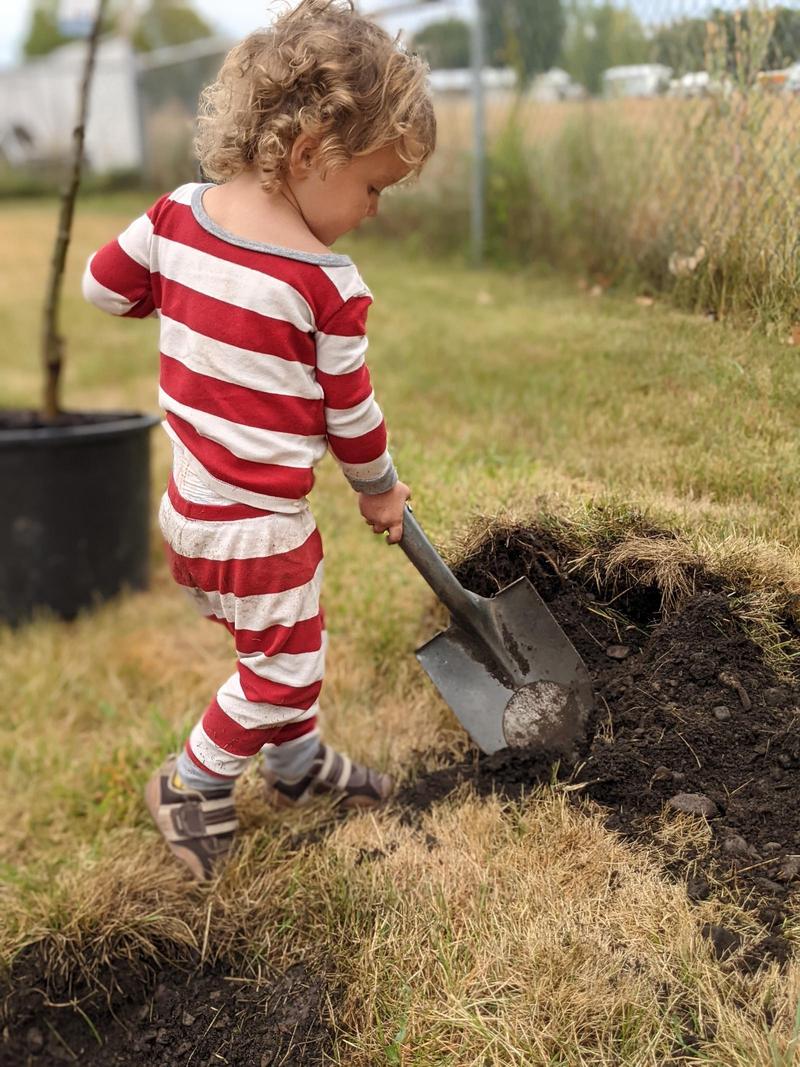 young girl in stripy pajamas shoveling dirt out of a hole
