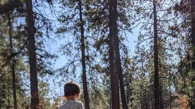 5 year old boy standing in a grassy patch of sun, back to the camera, in a pine forest