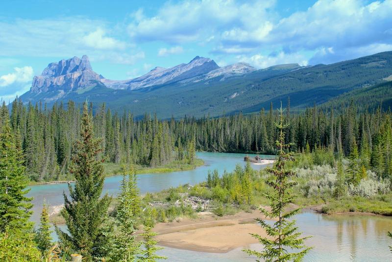 A blue-green river winds through pine trees with mountains rising in the background in Kootenay National Park, Canada