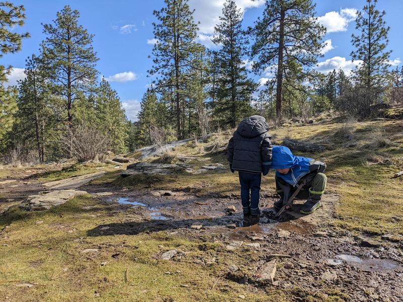 one kid standing in a mud puddle on a rocky outcrop with pine trees in the distance, another kid digging with a stick in the mud
