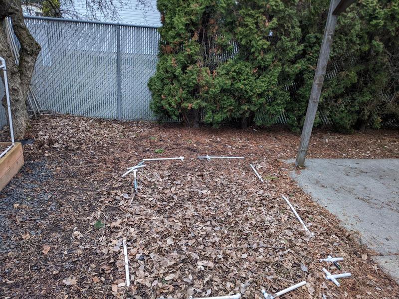 mulchy area by a chain link fence with evergreen trees