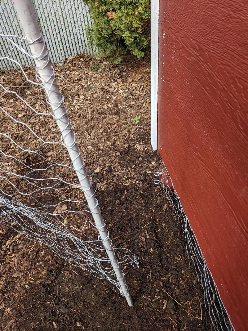 Poultry netting attached to a dowel, used for a gate by a chicken coop