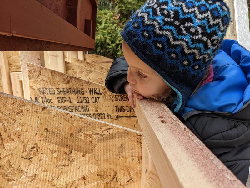 a young girl rests her head on her arm on the nesting boxes of a chicken coop