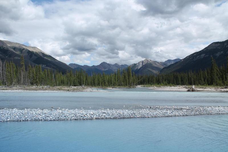 A wide shallow section of river in Kootenay National Park, Canada, with many stones along the bank, in front of a pine forest, with mountains rising in the background
