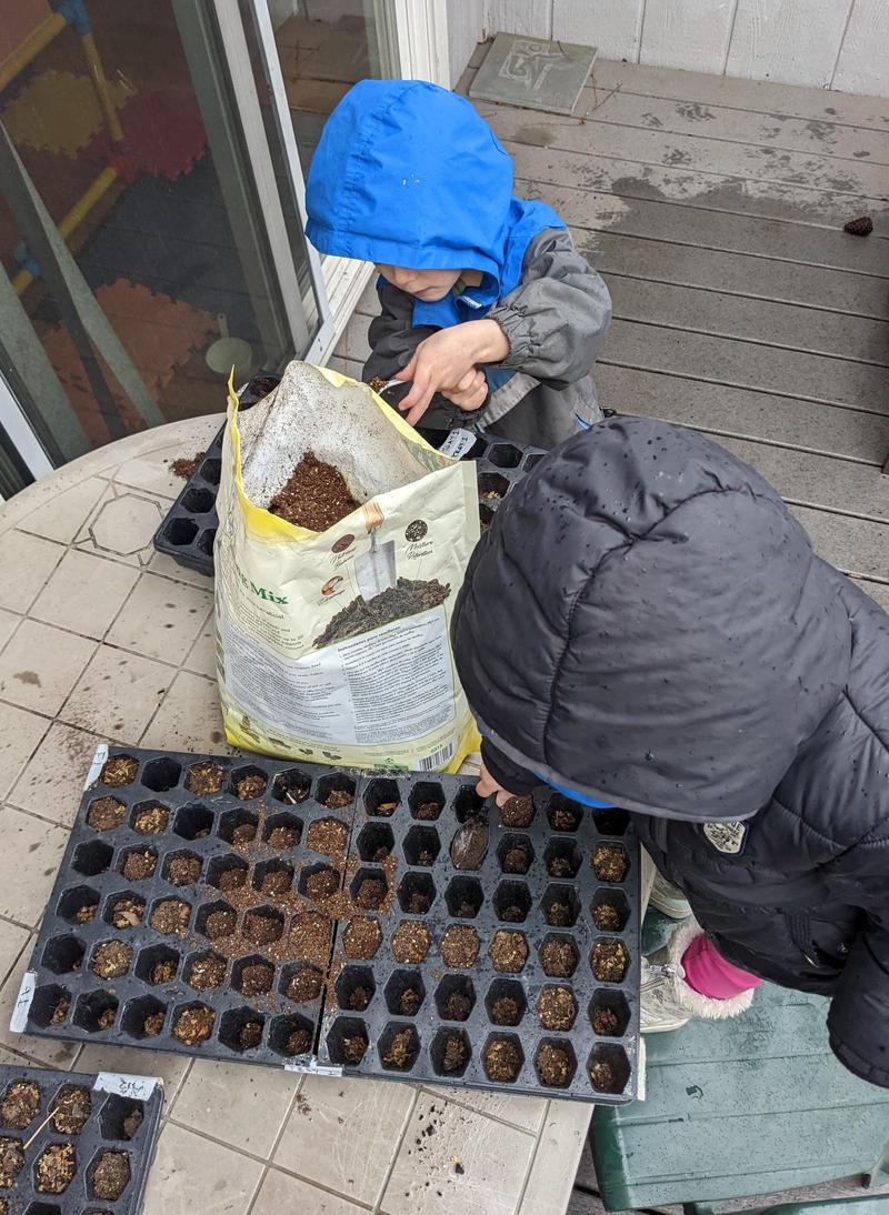 two kids standing on plastic chairs at a deck table, using spoons to scoop dirt into plastic seed starting trays