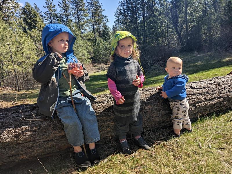 a five-year-old boy, three-year-old girl, and one-year-old boy leaning against a log in the sunshine, with pine trees and a meadow in the background