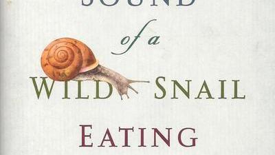 book cover of The Sound of a Wild Snail Eating by Elisabeth Tova Bailey in serif font on a plain background with a snail sitting atop the word 'wild' and peering down inquisitively