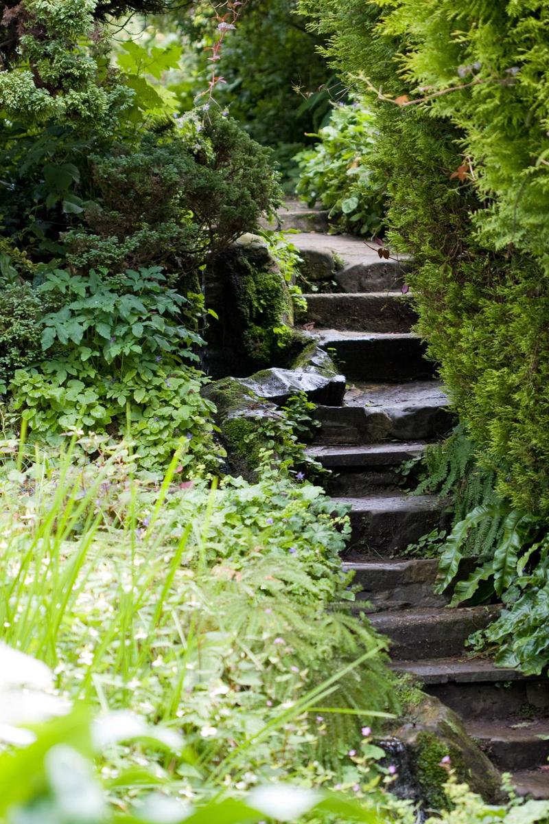 old and worn stone steps hidden in dense vegetation