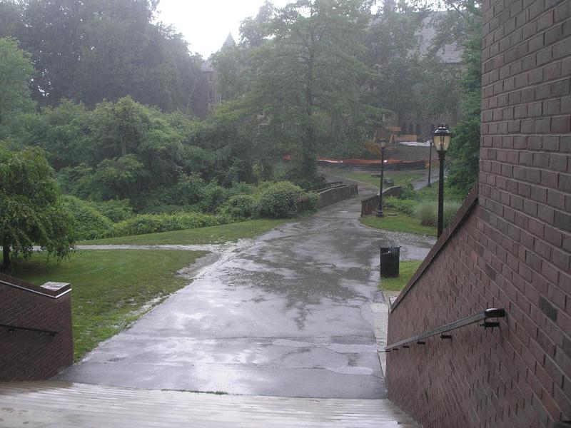 rainstorm on a cement path and greenery