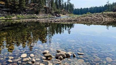 the glassy water of the spokane river winds through banks of rounded river rocks, pine trees standing tall on the far side of the river and in the distance around the river bend