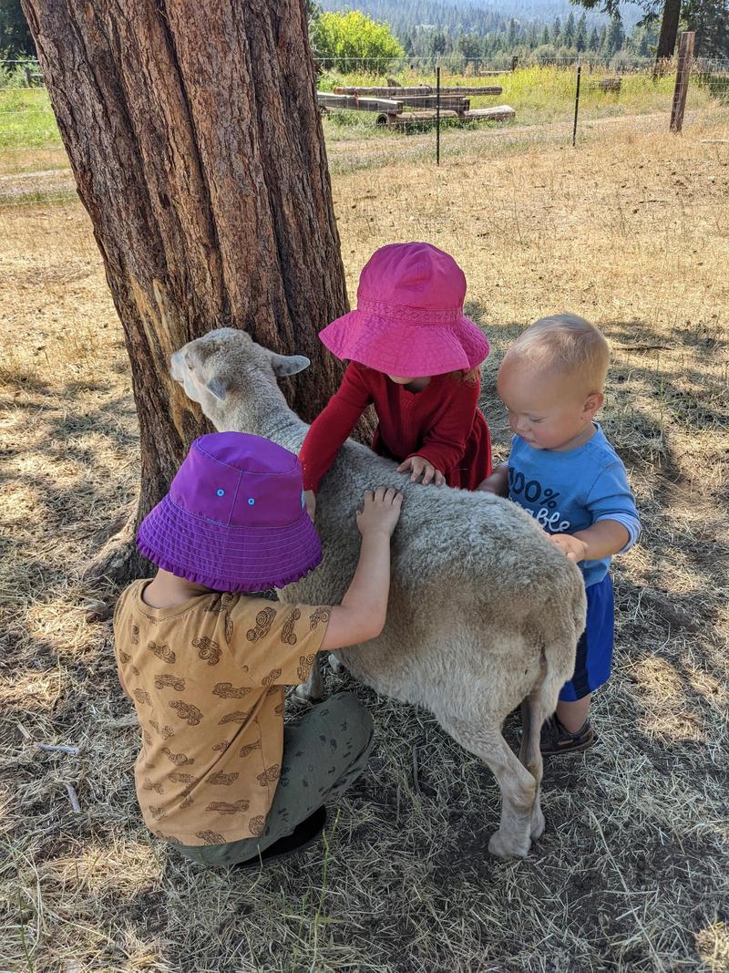 three young kids standing beside a sheep under a tree, petting it and giving it hugs