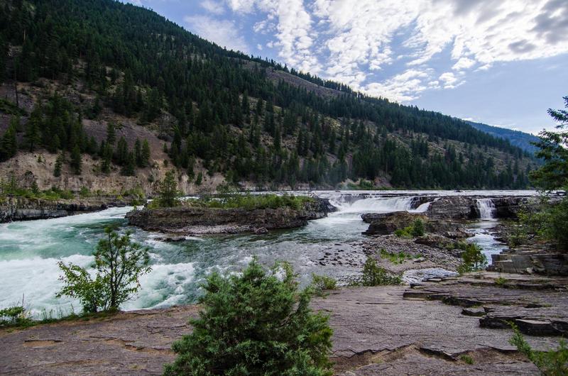 water rushing over kootenai falls with a pine-tree-filled hill in the background