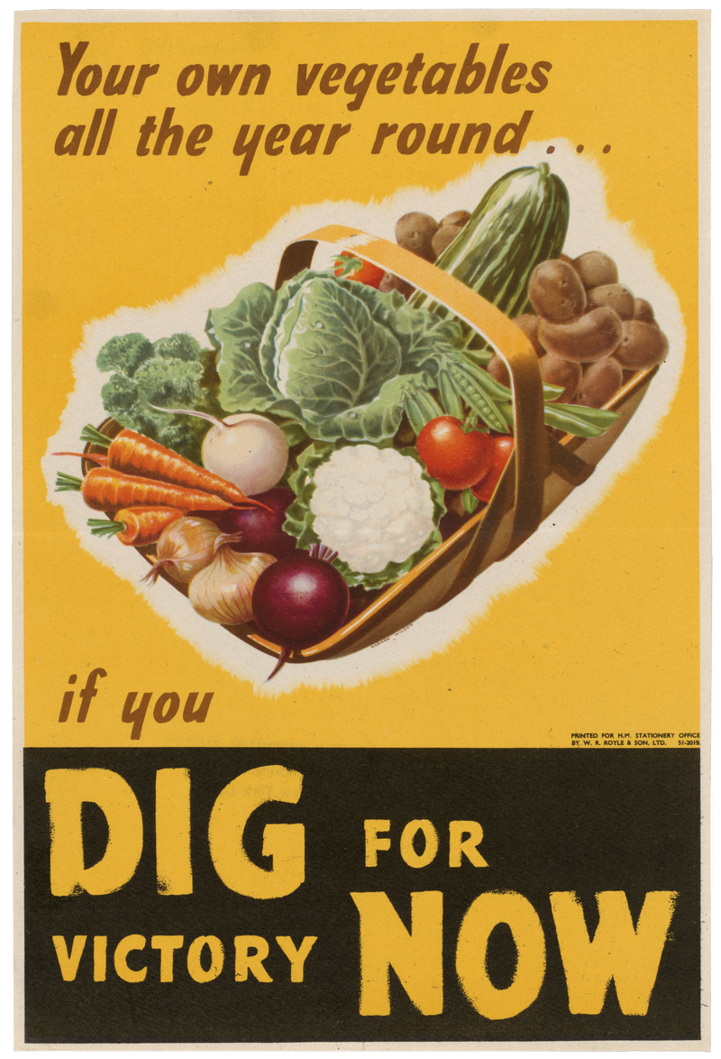 WWII propaganda poster with the words 'Your own vegetables all the year round…' above a picture of a basket of vegetables with the text 'if you dig for victory now' below'