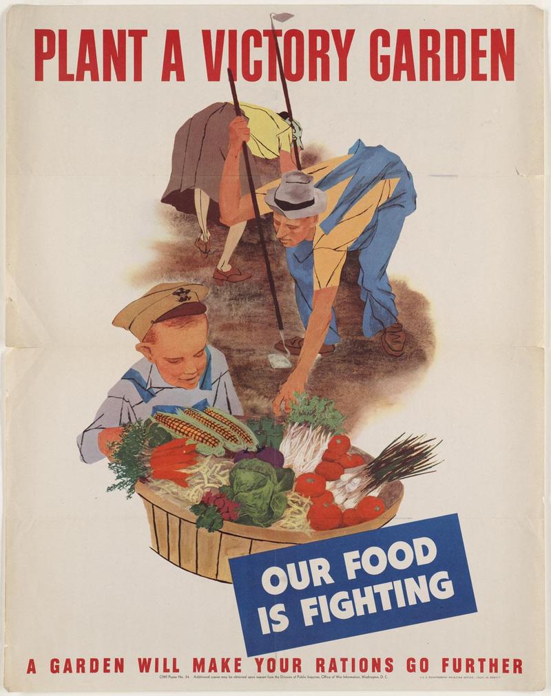 WWII propaganda poster featuring an image of a woman, man, and child digging in the dirt with a basket of vegetables, and the text 'Plant a victory garden' at the top, 'our food is fighting' and 'a garden will make your rations go futher' below