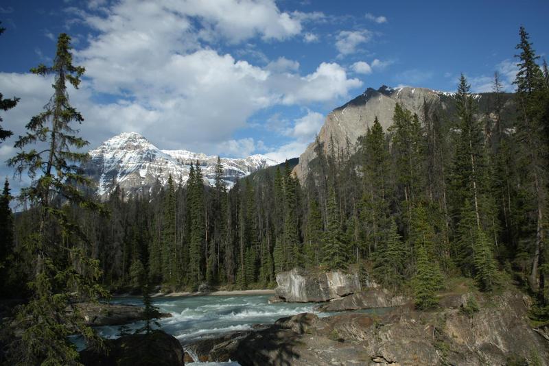 snow-capped mountains behind pine trees and a glacial river running through rocks