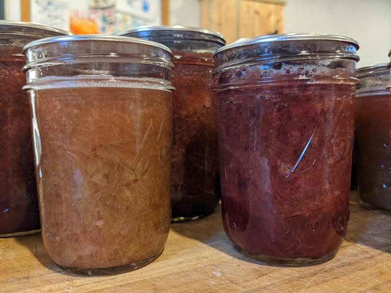 half pint mason jars filled with rhubarb jams lined up