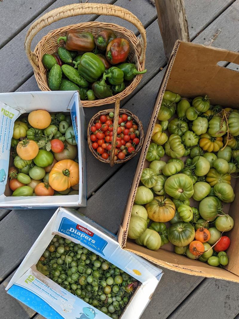 cardboard boxes and two baskets full of tomatoes, peppers, and cucumbers