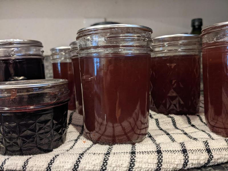 cup and half cup mason jars of crabapple and oregon grape jellies, sitting on a towel