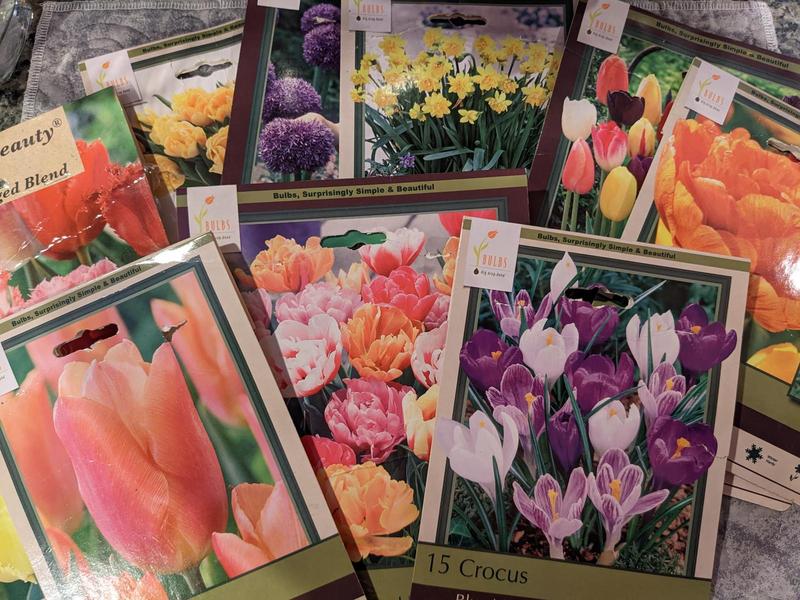 Packaging from sets of tulips, crocuses, and daffodils showing pictures of the flowers
