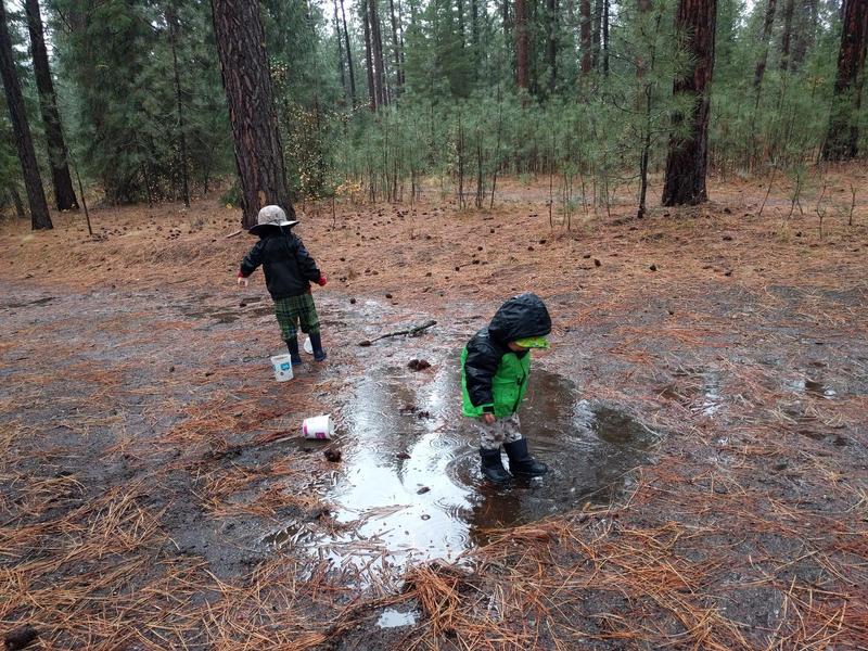 two kids stomping in a big muddy puddle filled with pine needles in a pine forest