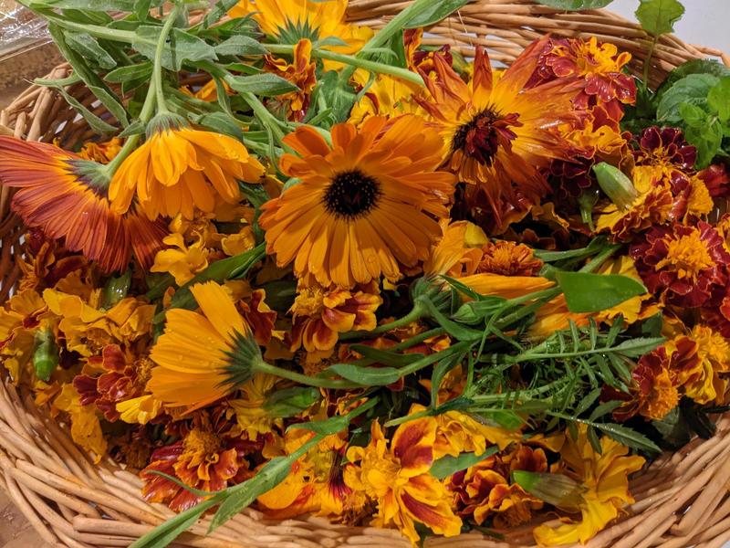 a basket of calendula and marigold flowers