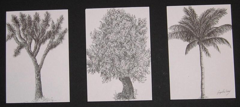 three pen line drawings of trees in a black matte frame, on the left a joshua tree, in the middle an olive tree, on the right a palm tree