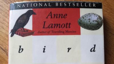 the cover of the book Bird by Bird by Anne Lamott featuring pictures of birds in the corners