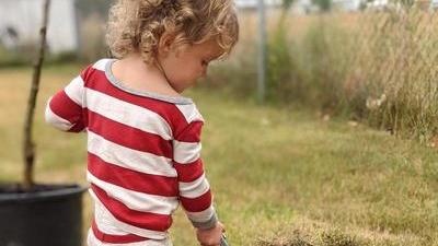 a curly-haired toddler in red and white stripy pajamas digs a hole in a grassy lawn with a metal shovel; a tree sits in a pot beyond so it looks like the toddler is helping dig a hole for a new tree