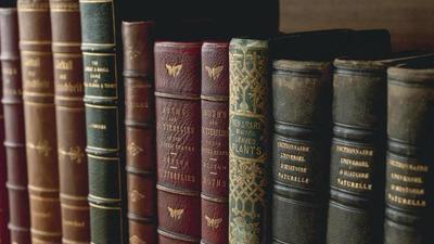 a row of old leather books on a shelf