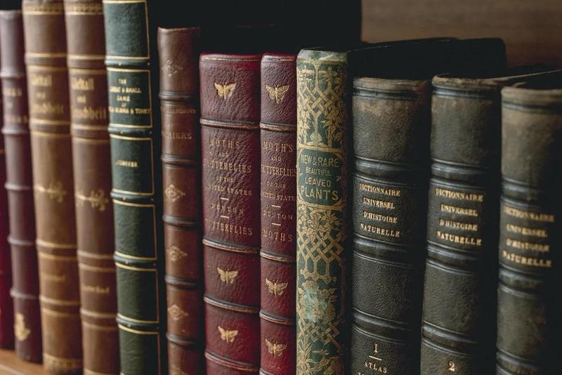 a row of old leather books on a shelf