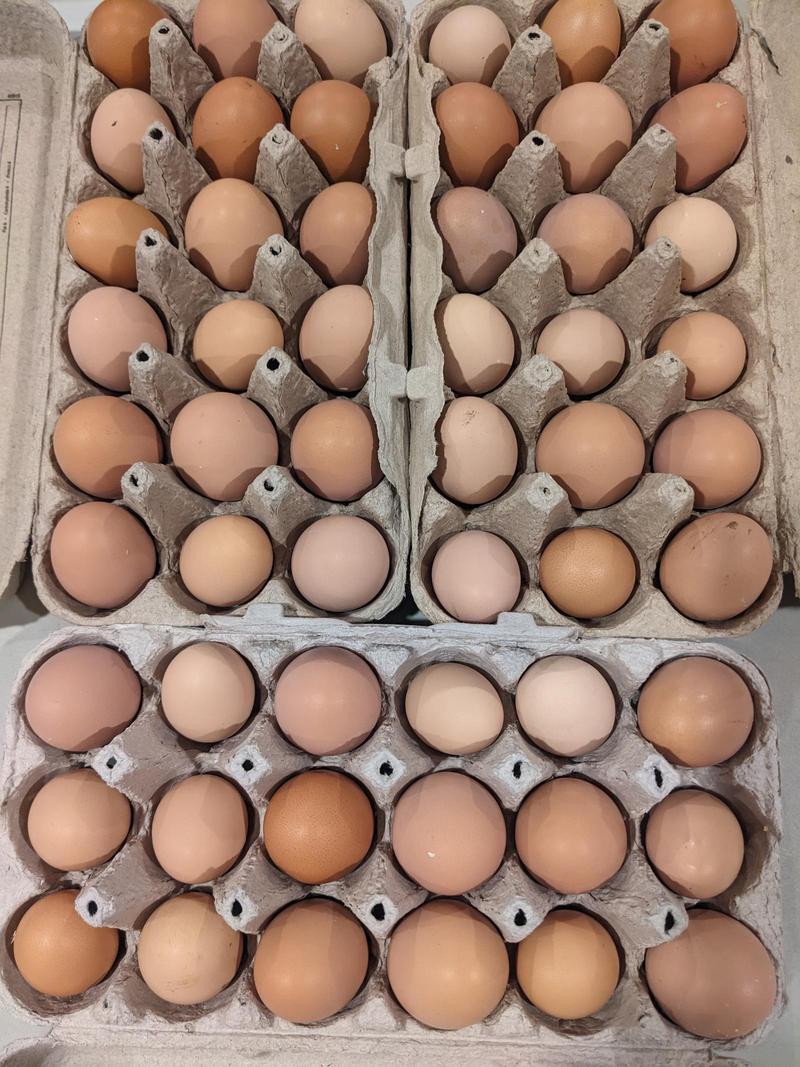 three 18-egg cartons all filled with beautiful brown eggs