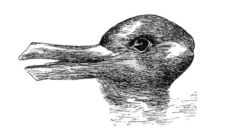 an ambiguous line drawing showing a rabbit looking to the right or a duck looking to the left