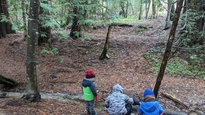 Three children in winter coats crouch down along the edge of a small creek in the woods, backs to the camera