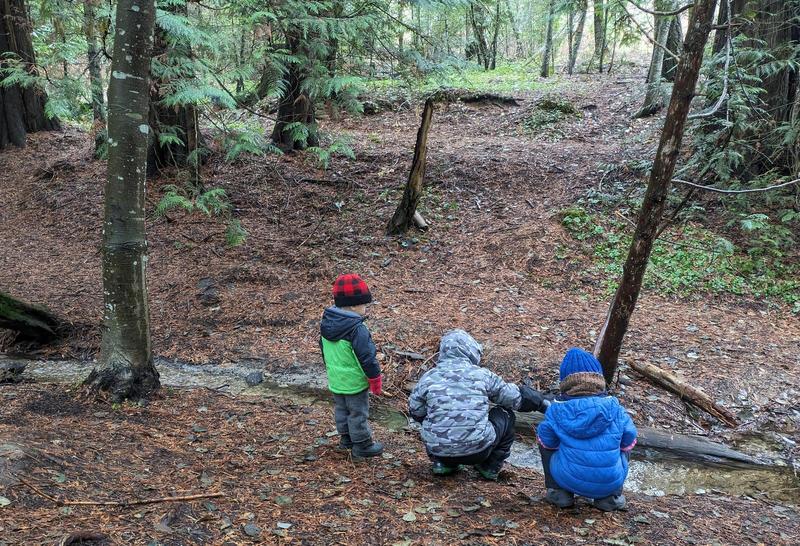 Three children in winter coats crouch down along the edge of a small creek in the woods, backs to the camera