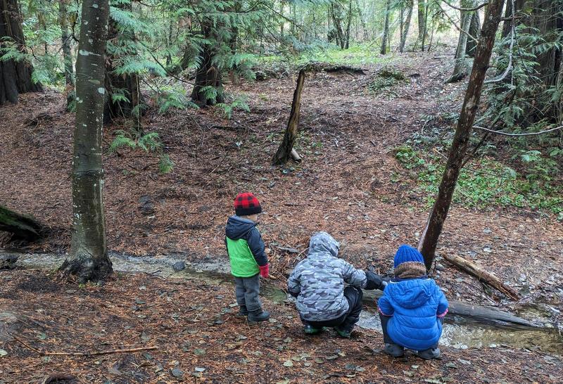 Three children in winter coats crouch down along the edge of a small creek in the woods, backs to the camera